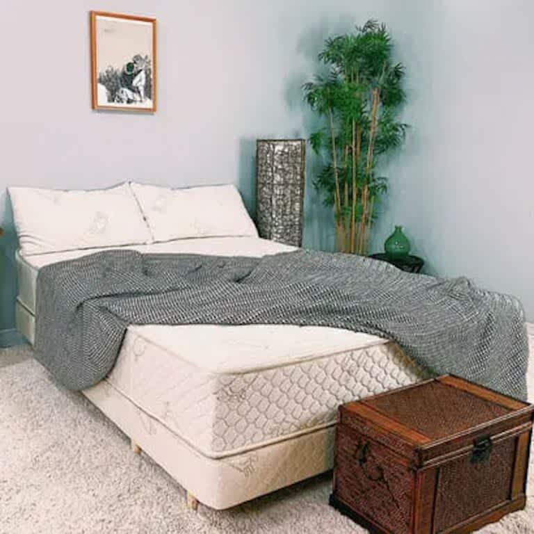 FloBeds vZone Natural Latex Mattress Review