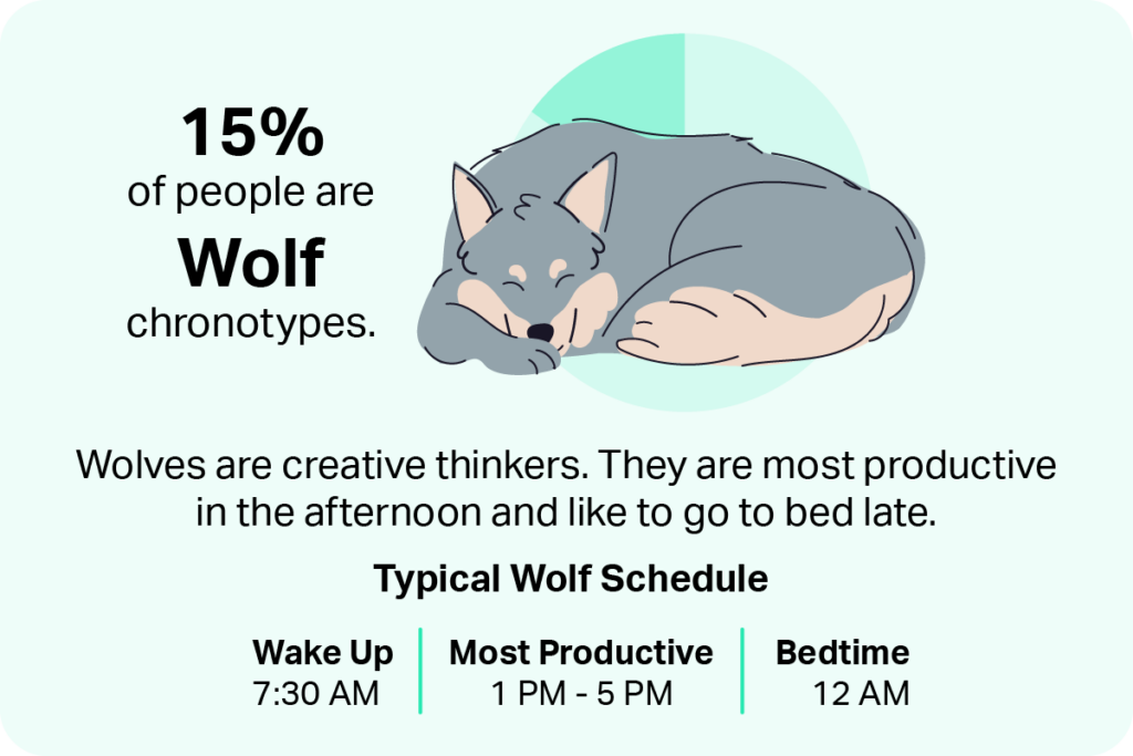 Wolves are creative thinkers. They are most productive in the afternoon and like to go to bed late.